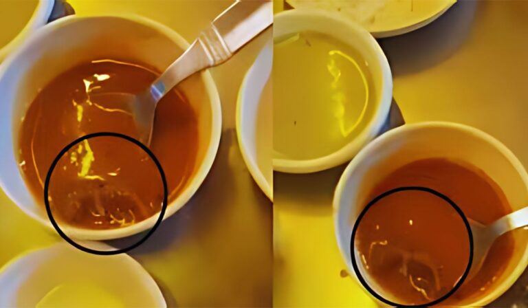 Man In Gujarat Finds Rat In Sambhar