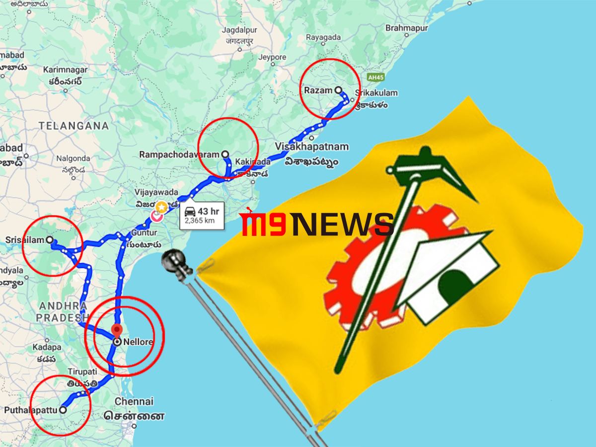 tdp-flags-