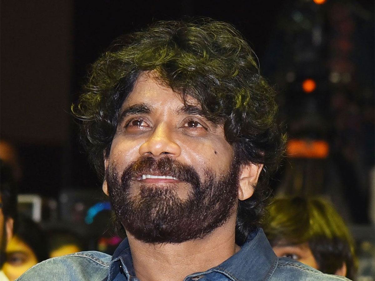 అక్కినేని బ్రాండ్ మసకబారుతుందా?