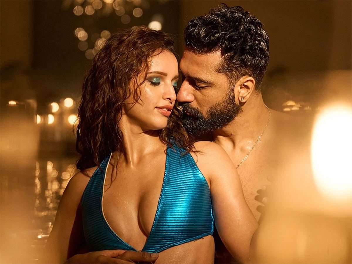 Bad Newz Jaanam Song