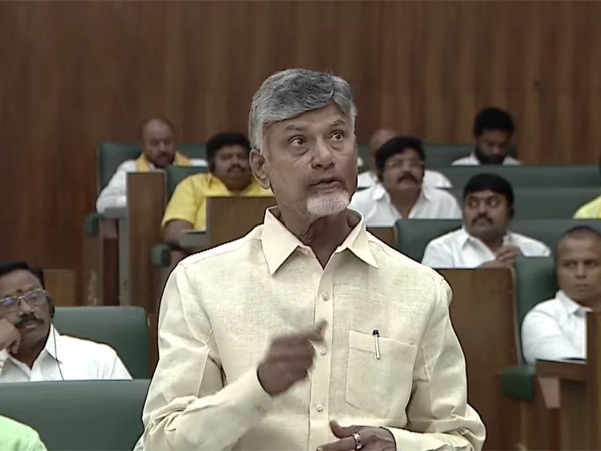 Chandrababu Naidu Release White Paper On Law And Order