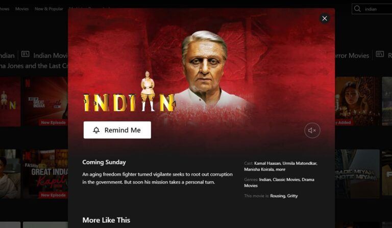 Indian Streaming on Netflix