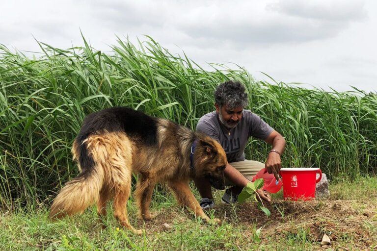 rajamouli-netflix-documentary-pre-release-analasys