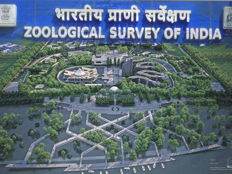 Zoological Survey of India Amaravati