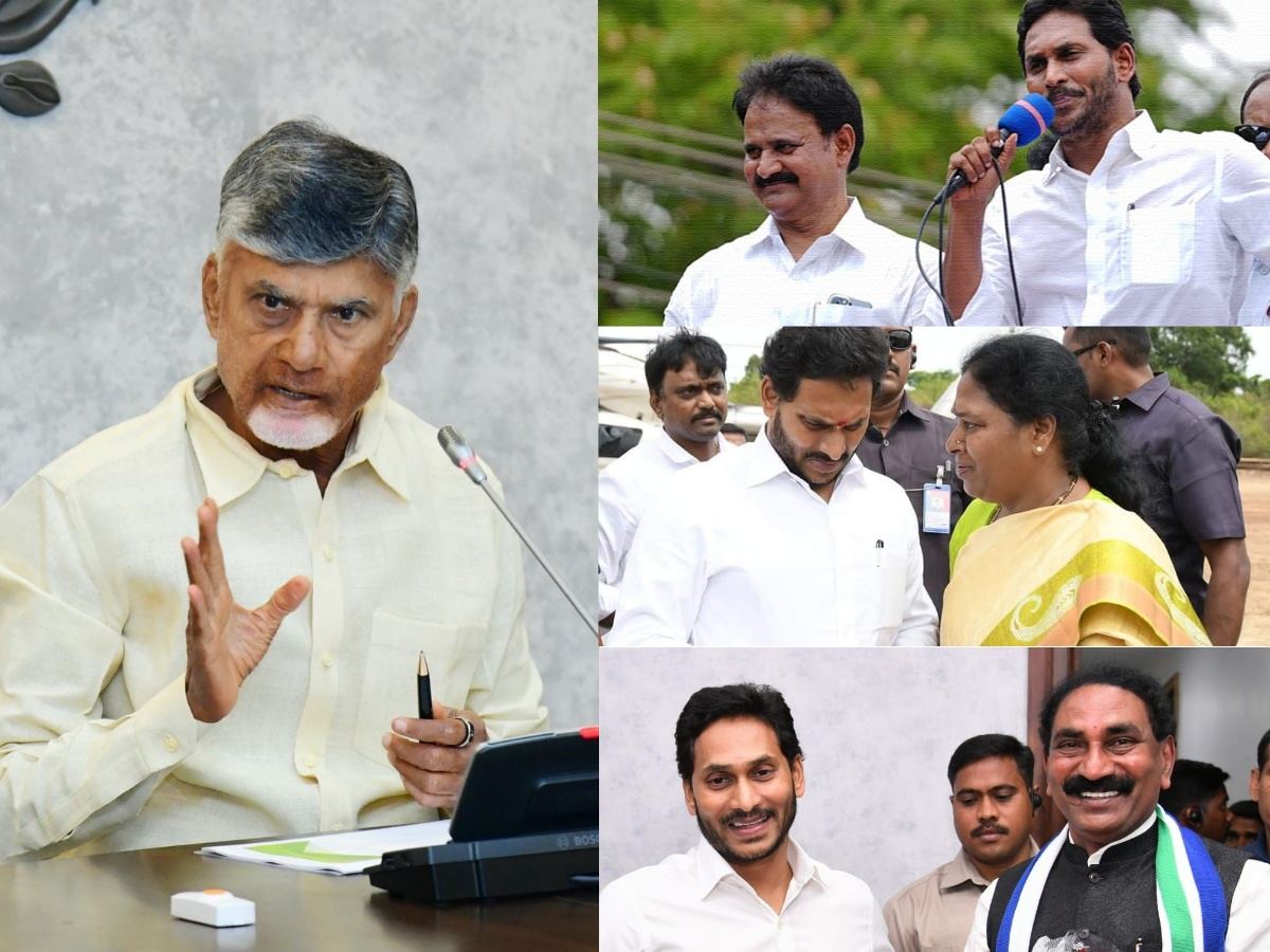 TDP Cadre Not As Practical As Chandrababu Naidu!