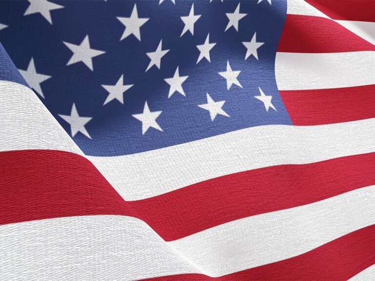 Top 10 Highest-Grossing Films 2024 North America