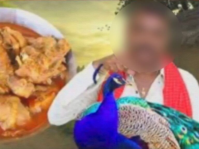 youtuber-traditional-peacock-curry-recipe