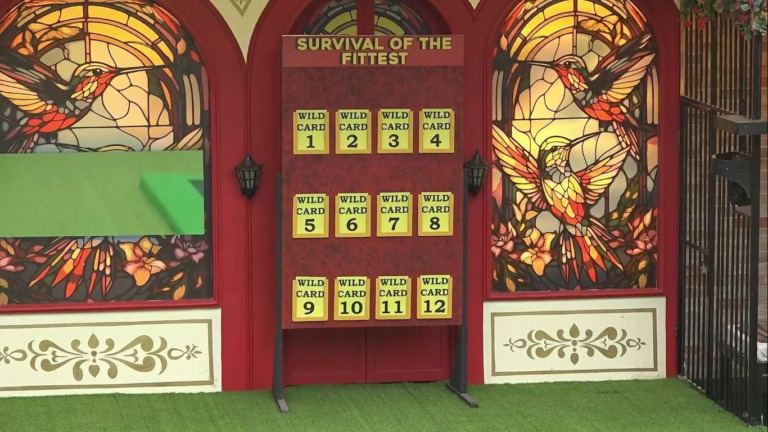 bigg-boss-telugu-season-8-12-wild-card-entries