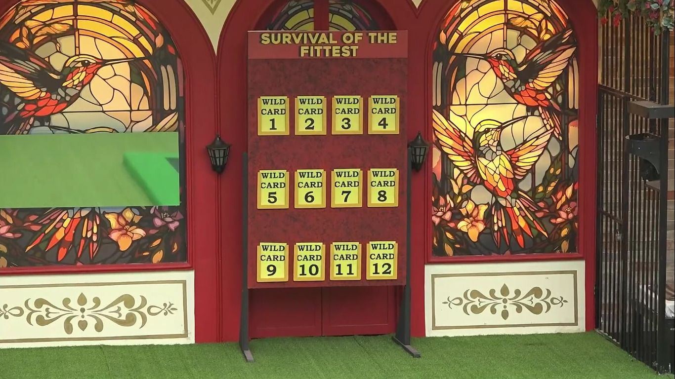 bigg-boss-telugu-season-8-12-wild-card-entries