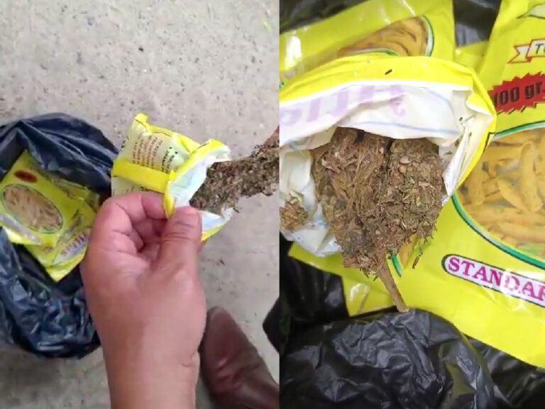 Ganja In Turmeric Packets