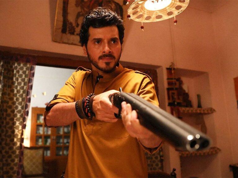 Mirzapur Series