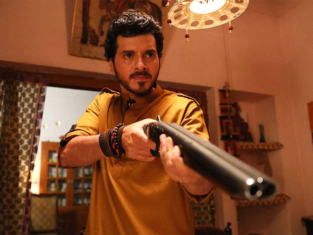 Mirzapur Series