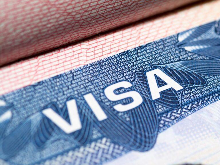 Pregnant Indian Woman Visa