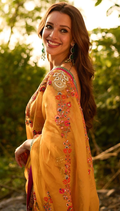Animal Girl Tripti Rocks the Saree Look