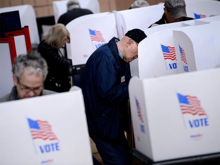 US Election Voters