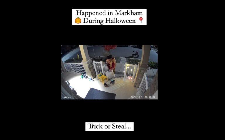 caught-on-cam-indian-womans-shocking-halloween-stealing-in-canada