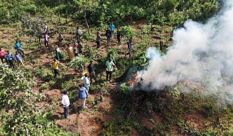 Ganja In Andhra Pradesh
