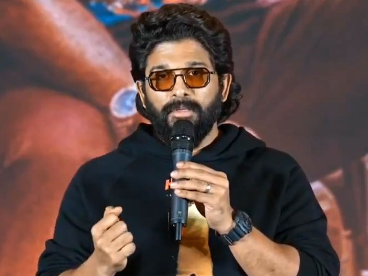 Allu Arjun Pacifies Mega Fans
