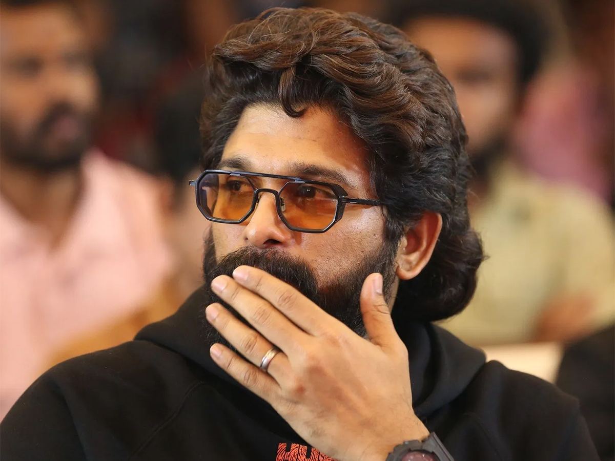 allu-arjun-pushpa-mega-family