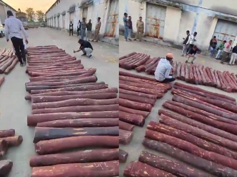 Ap Police Caught Red Sandal Smuglling