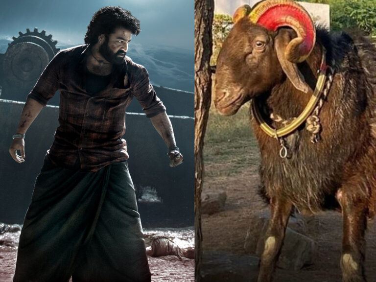 Devara Goat 1.28 Lakhs