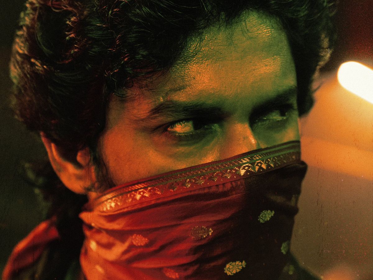 nani-saripodhaa-sanivaaram-remake-in-bollywood