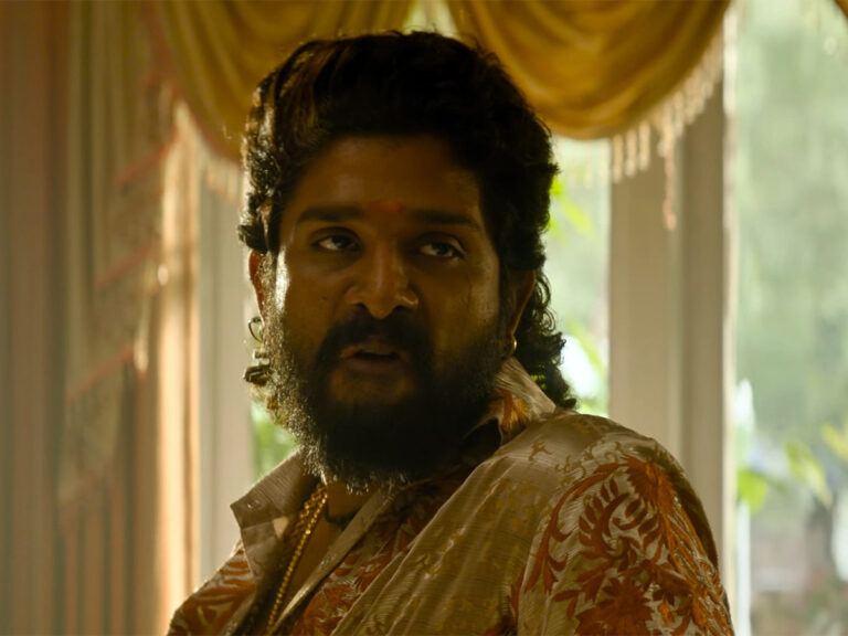 Pushpa 2 Hindi: Unbelievable Madness in Gujarat