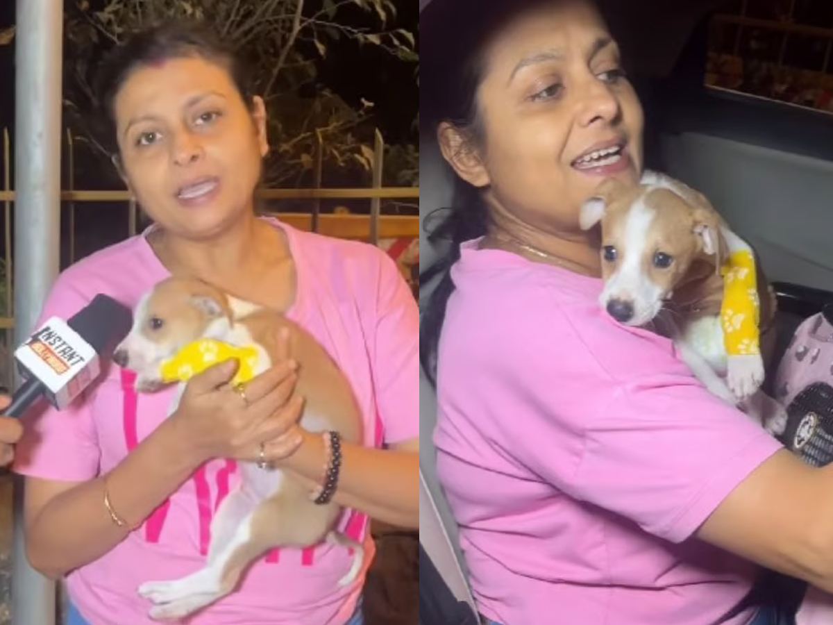 Sexual Assault on Puppy