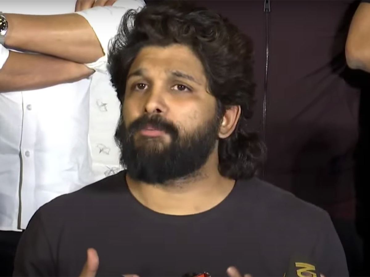 Telugu People Pulling Down Allu Arjun