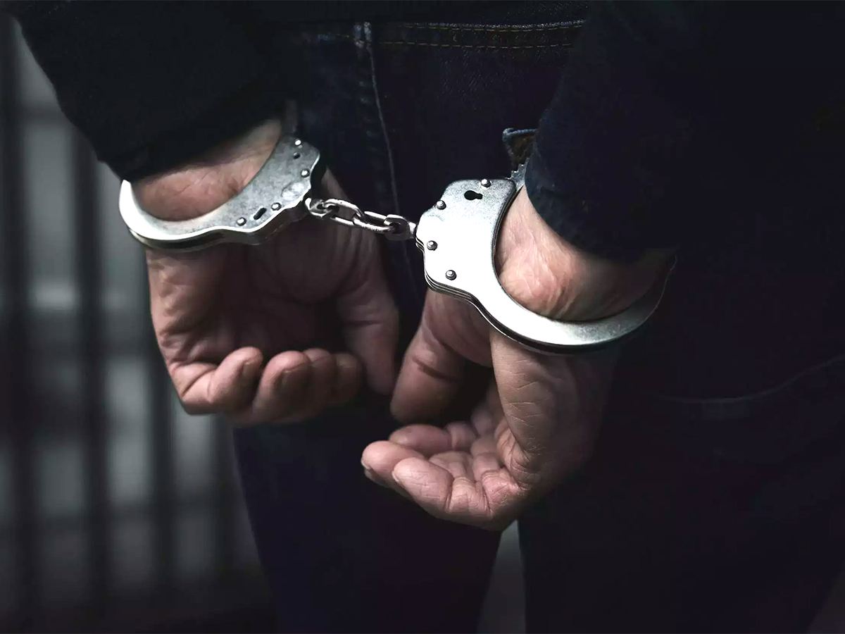 US Undercover Agent Arrests NRI Predator