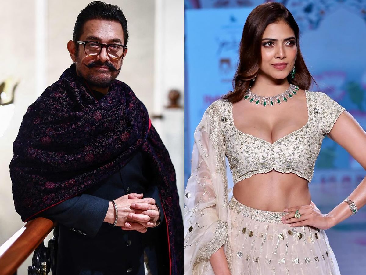 Aamir Khan Malavika Mohanan