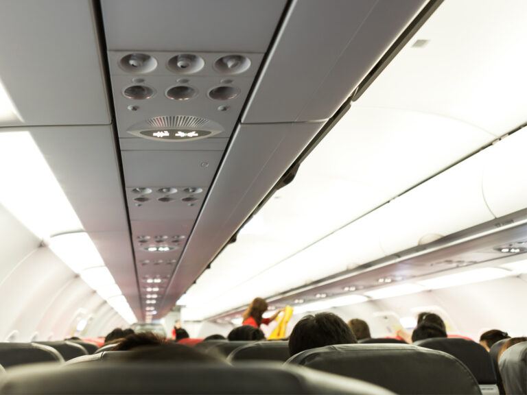 bed-bugs-flight-news
