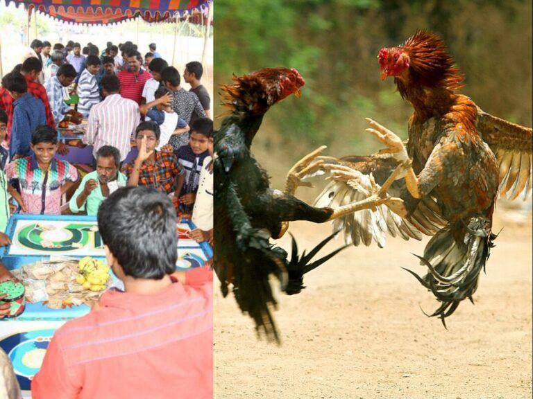 Blue Media Missing Sankranthi Casinos