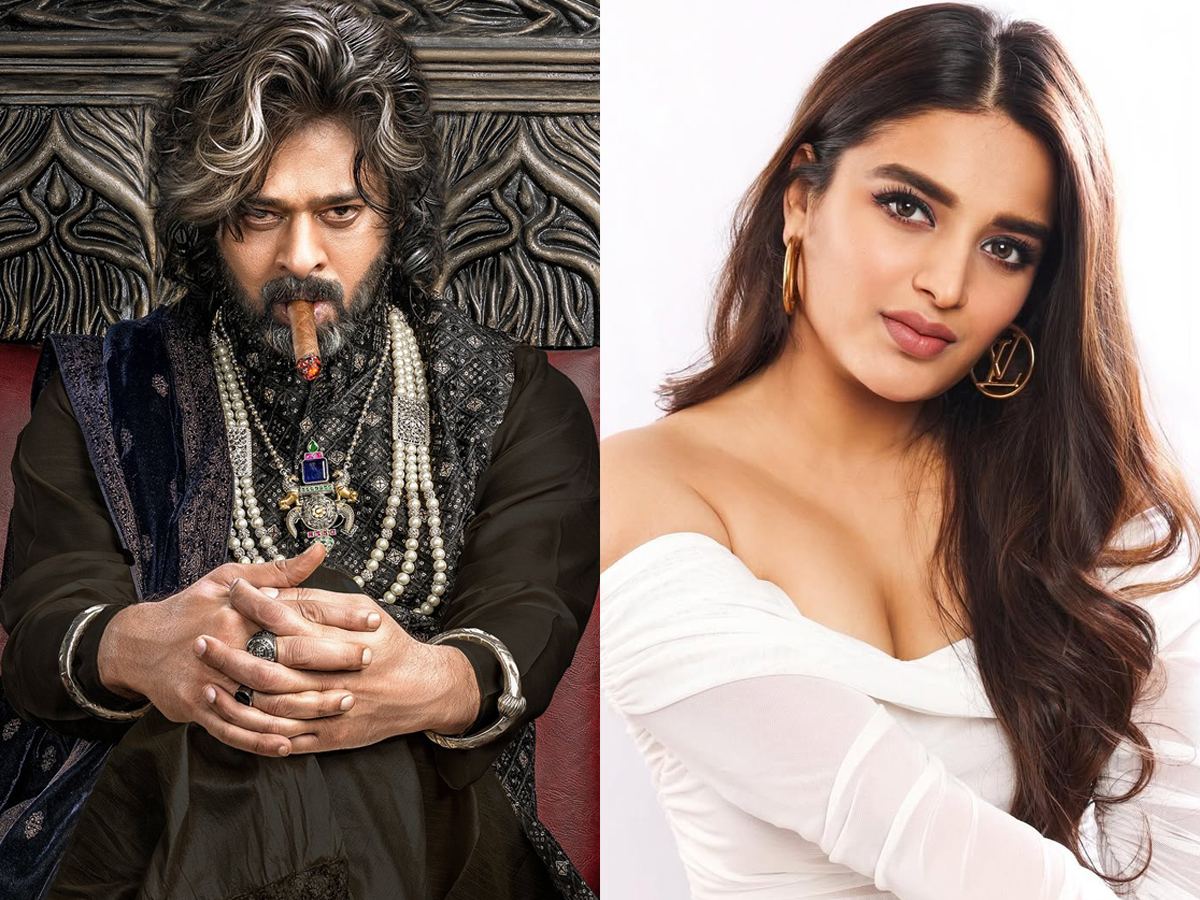 Nidhhi Agerwal About The Raja Saab