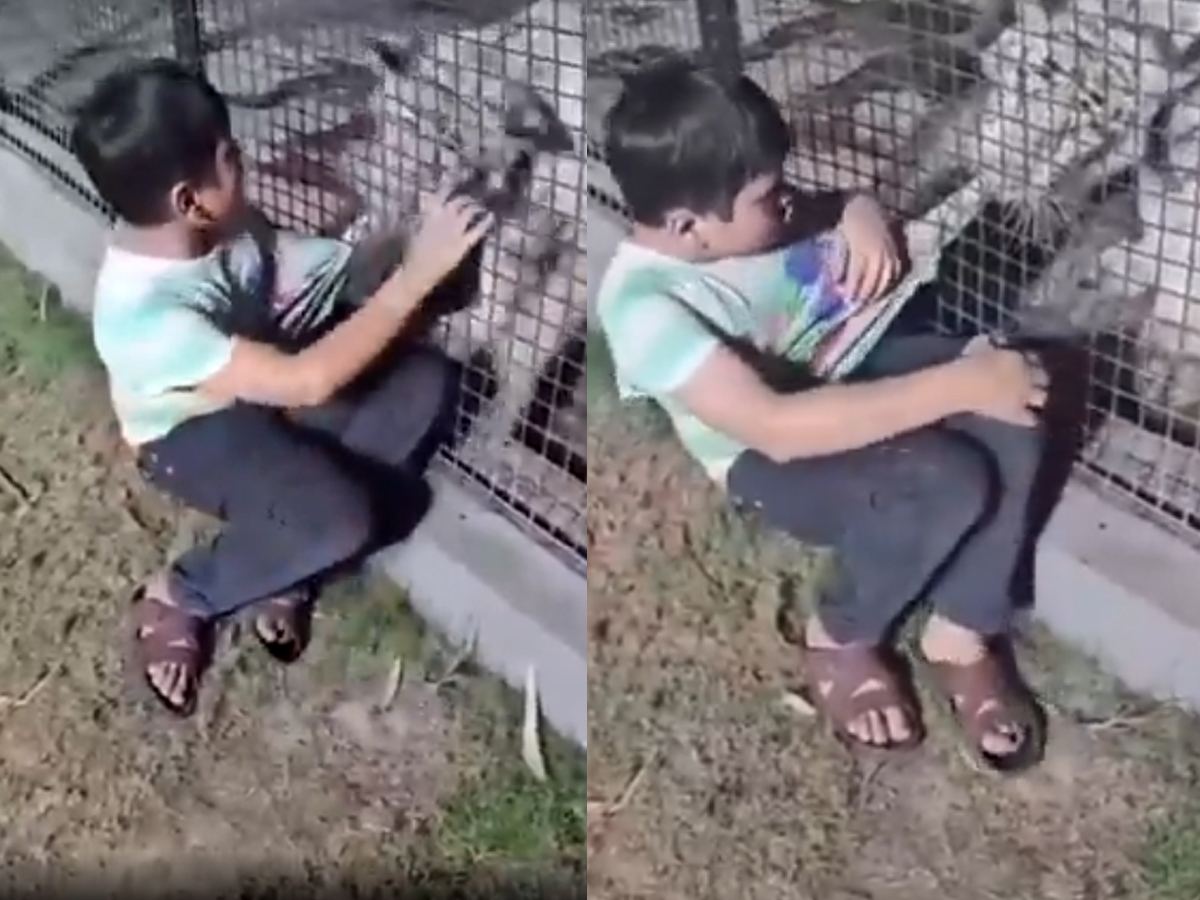 Boy Fears Mom More Than Tiger