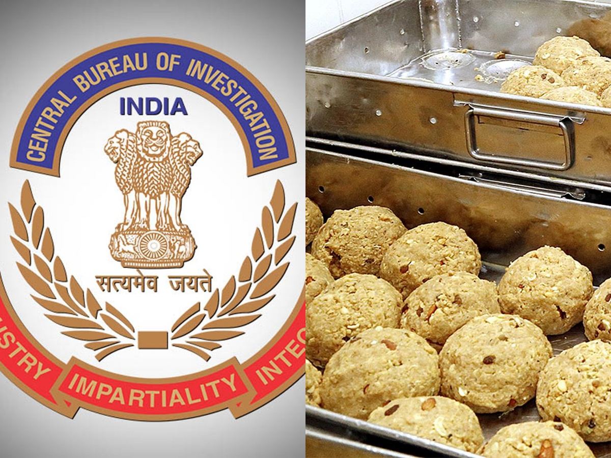 CBI raids YSRCP, YSRCP corruption case, Tirumala scam, Jagan illegal assets, YSRCP leaders arrested, Tirumala CBI probe, Andhra political scandal, YSRCP financial scam, Jagan Mohan Reddy corruption, Tirumala fake ghee case, YSRCP illegal dealings, CBI investigation Andhra Pradesh, political controversy AP