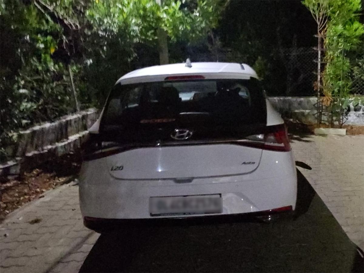 Delhi Man Elderly Woman Killed Over Dogs