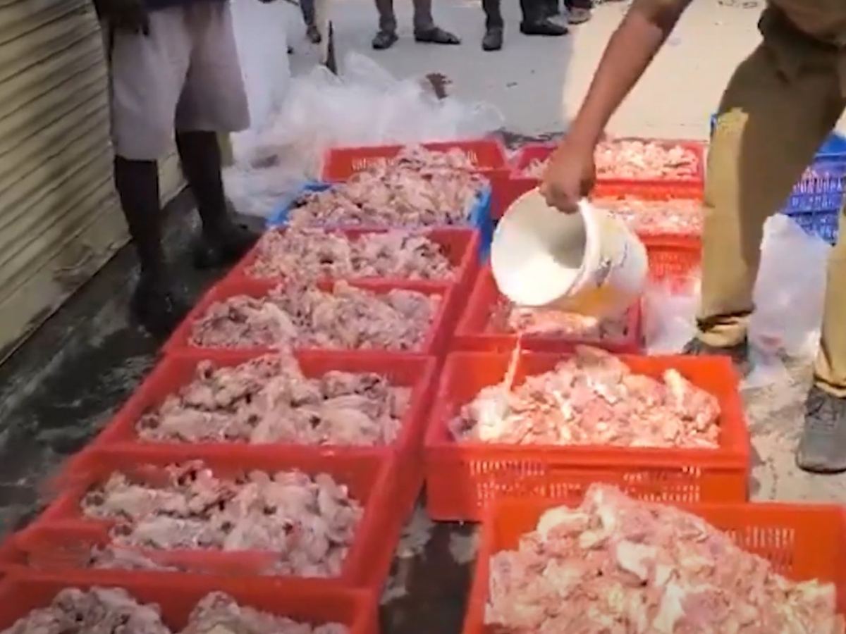 Five Quintals of Rotten Chicken Seized