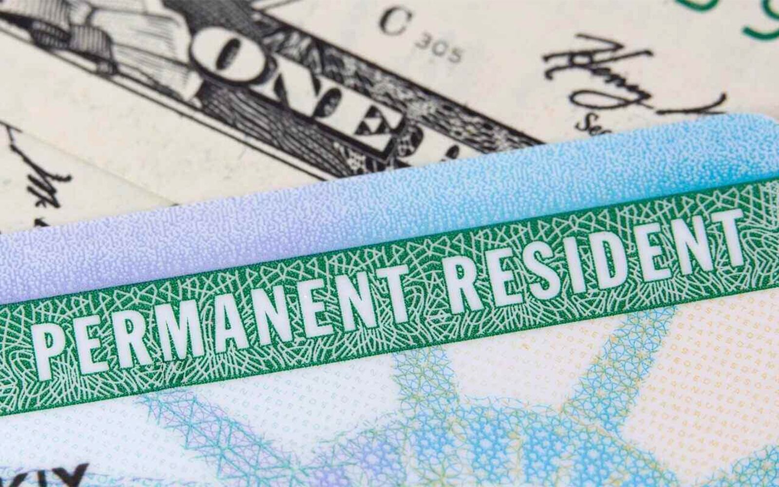Green Card Nightmare NRIs Trapped in US