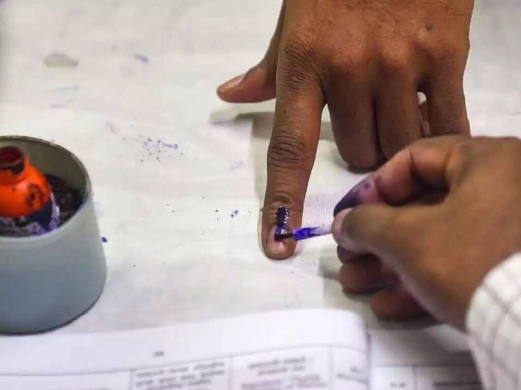 How Did MLC Election Polling Go?