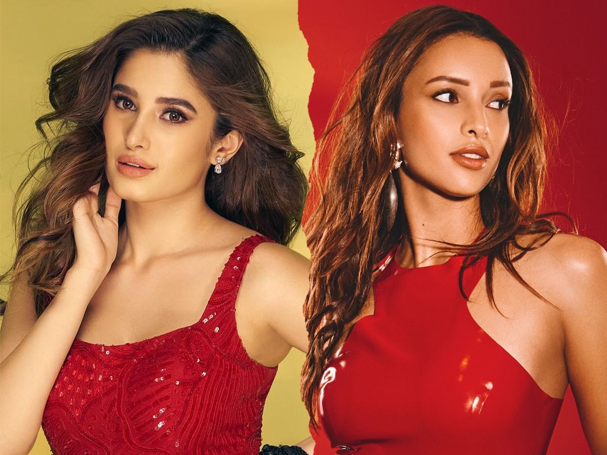 Hit Song, Disaster Film: Another Triptii Dimri?