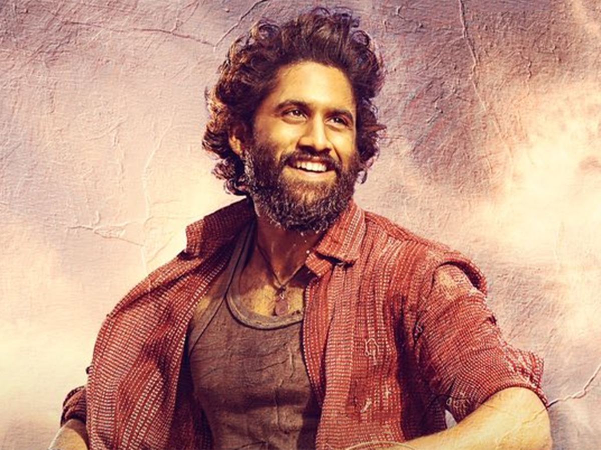 thandel-movie-box-office