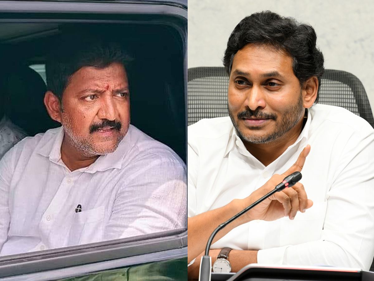 Vallabhaneni Vamsi Arrest YSR Congress