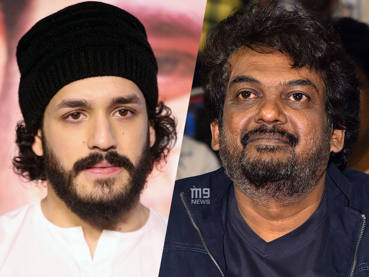 Akhil Akkineni Puri Jagannadh Trolls
