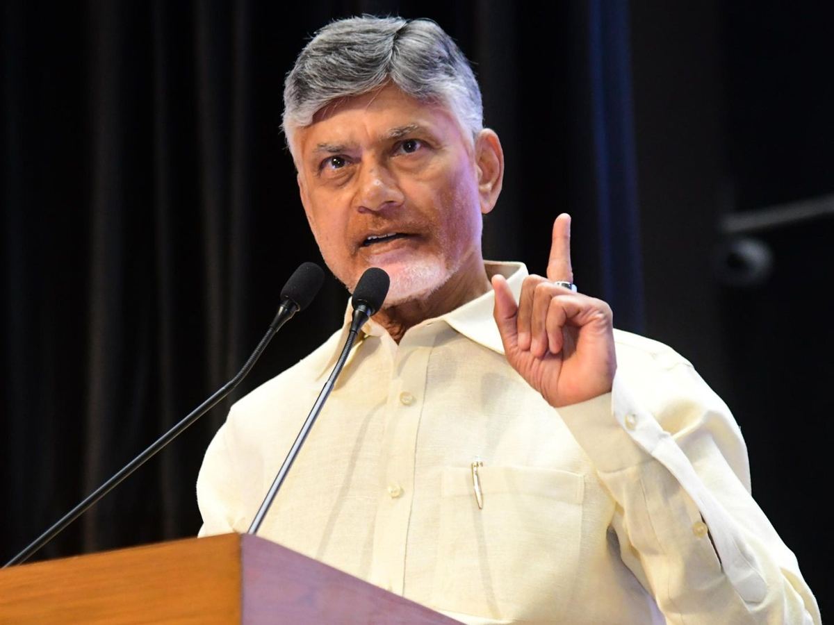 CBN Says Janasena Survived Because Of TDP