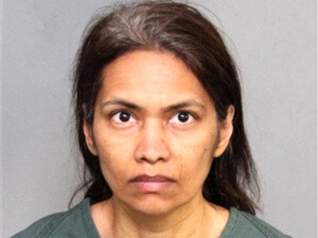 Disneyland Murder Case: Indian-Origin Woman Kills Son