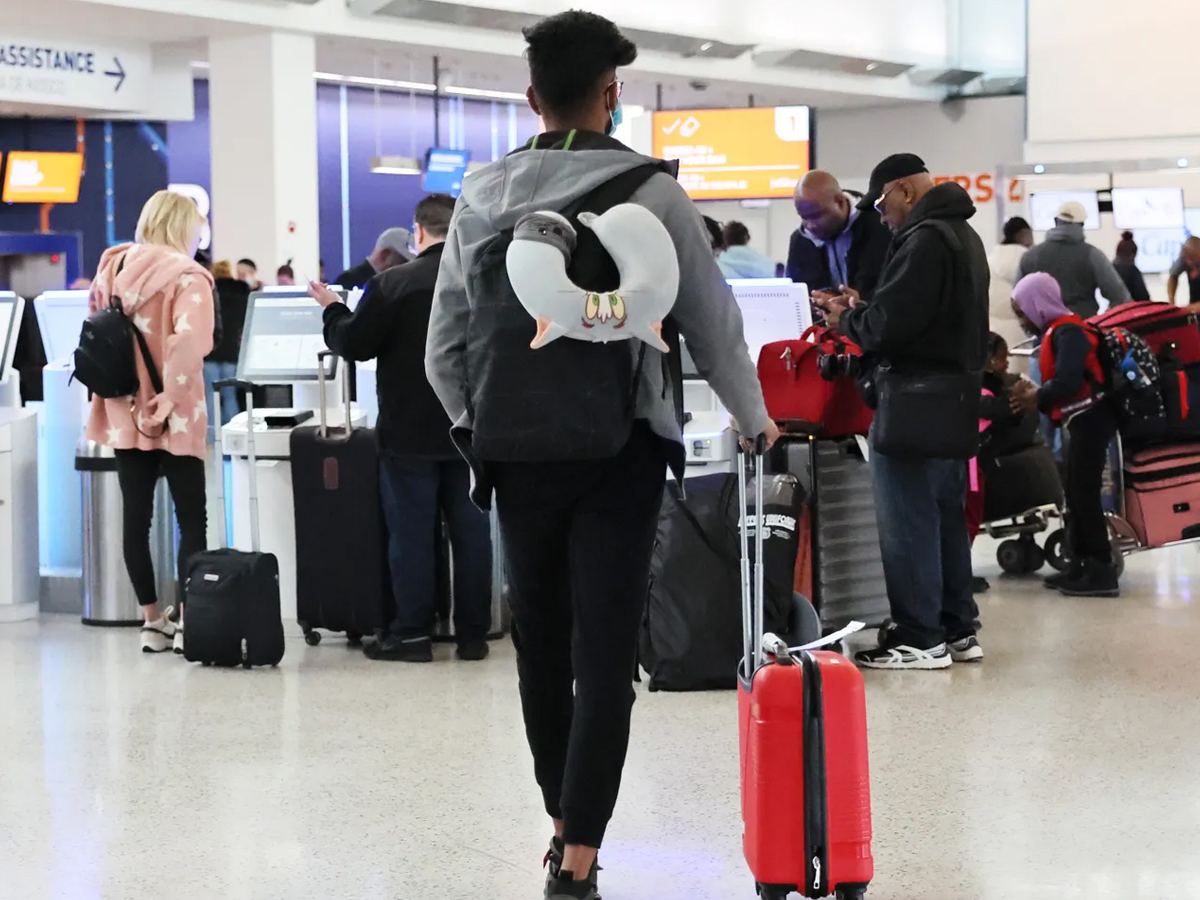 Indian H1B Visas Left Stranded Lufthansa Under Fire