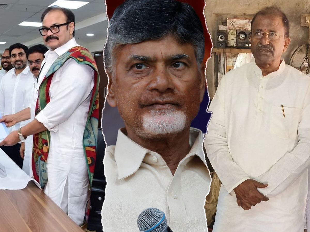Nagababu & Somu Veerraju, Chandrababu Naidu