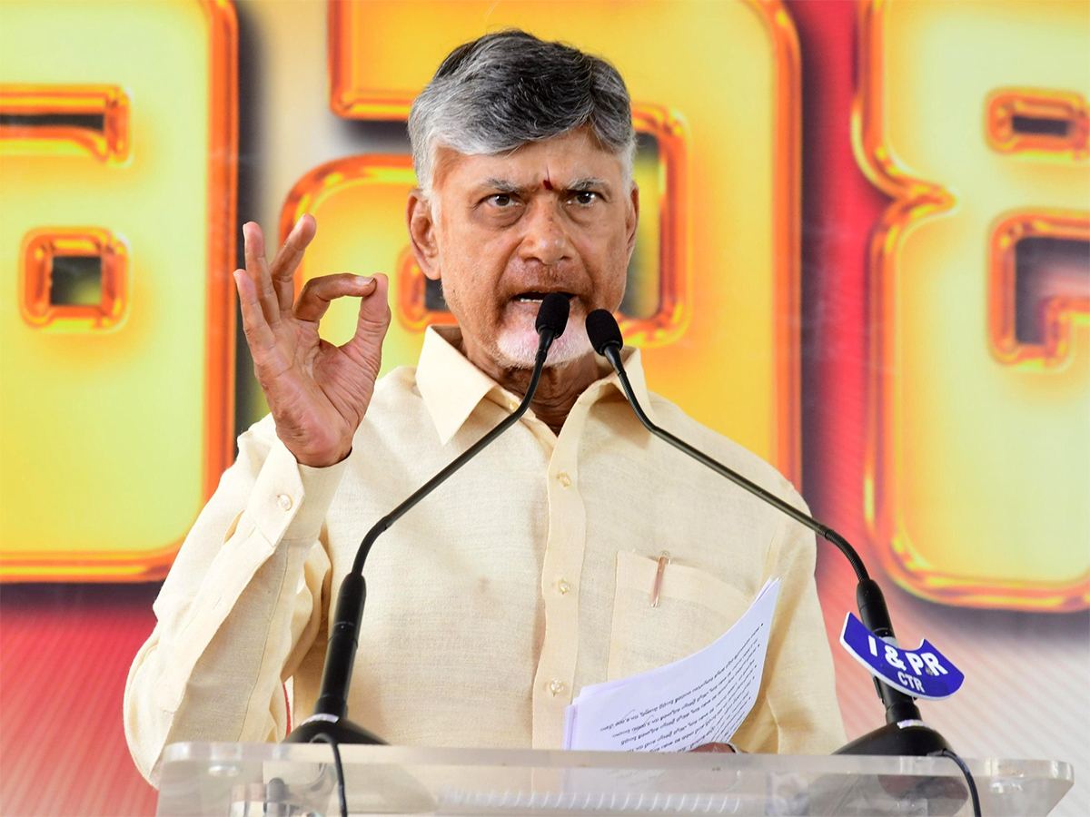TDP Gain Majority