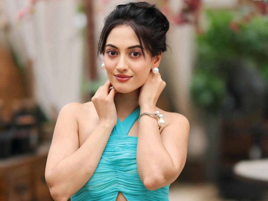 TV Actress Aditi Sharma's Secret Marriage Divorce
